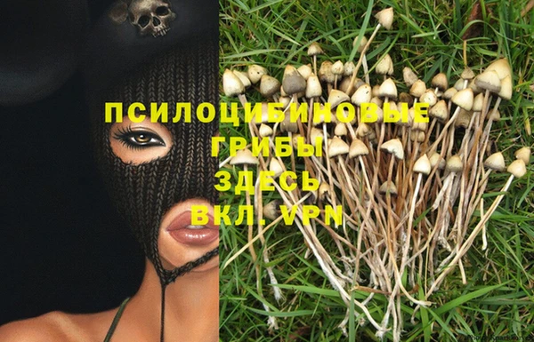 ешки Белоозёрский