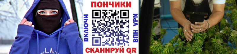 Шишки марихуана сатива  сайты даркнета как зайти  Сланцы  что такое  
